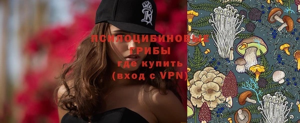 спиды Михайловск