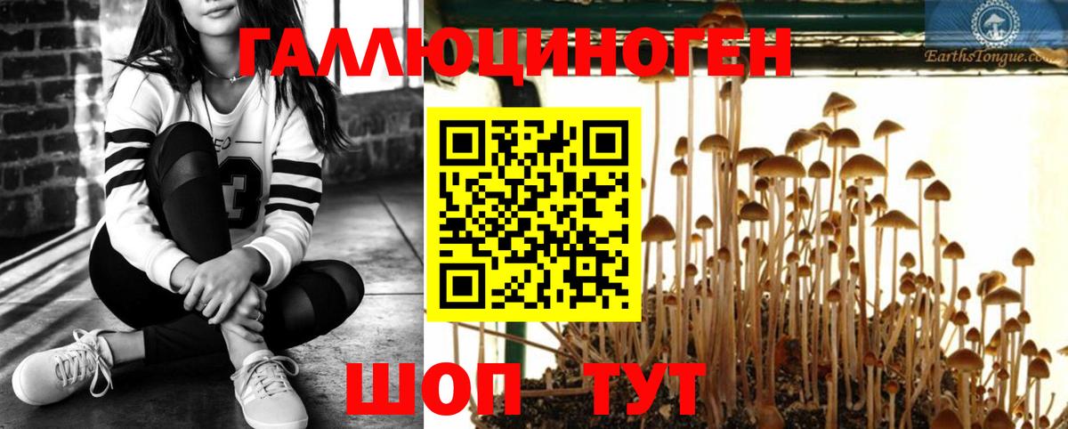 Галлюциногенные грибы прущие грибы  Псилоцибиновые грибы Psilocybine cubensis  Вход с VPN  Ижевск 