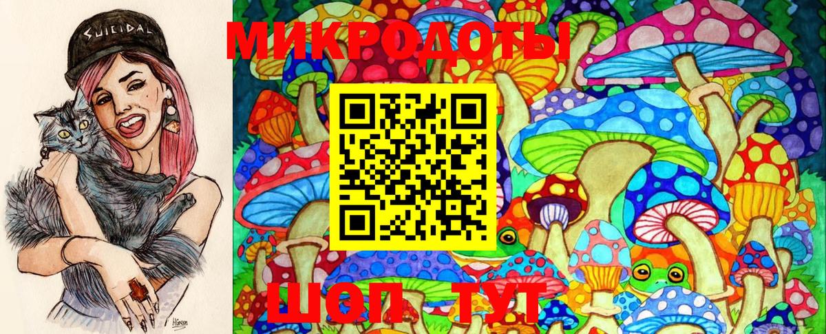 Галлюциногенные грибы Psilocybine cubensis  Ижевск 