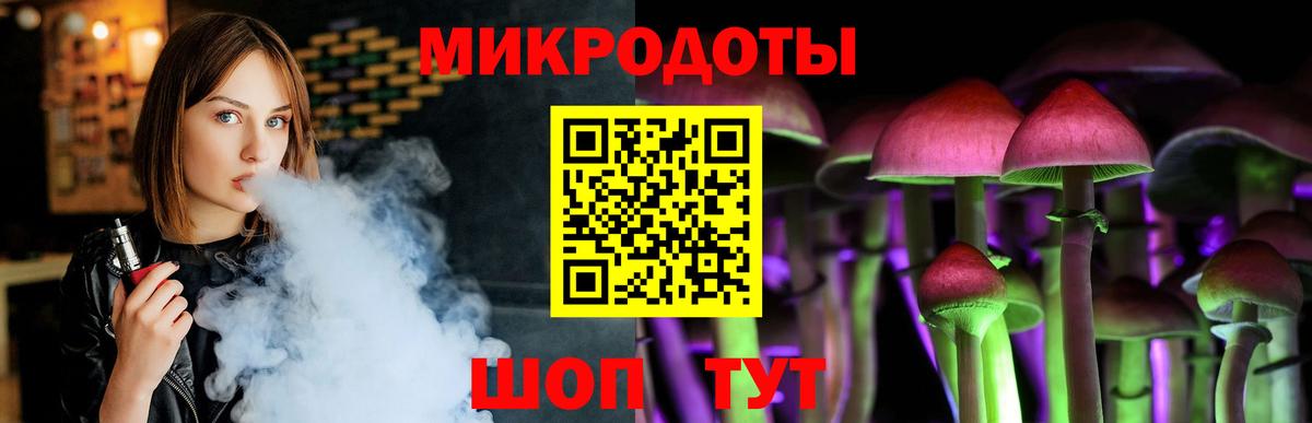 Псилоцибиновые грибы Psilocybe Ижевск